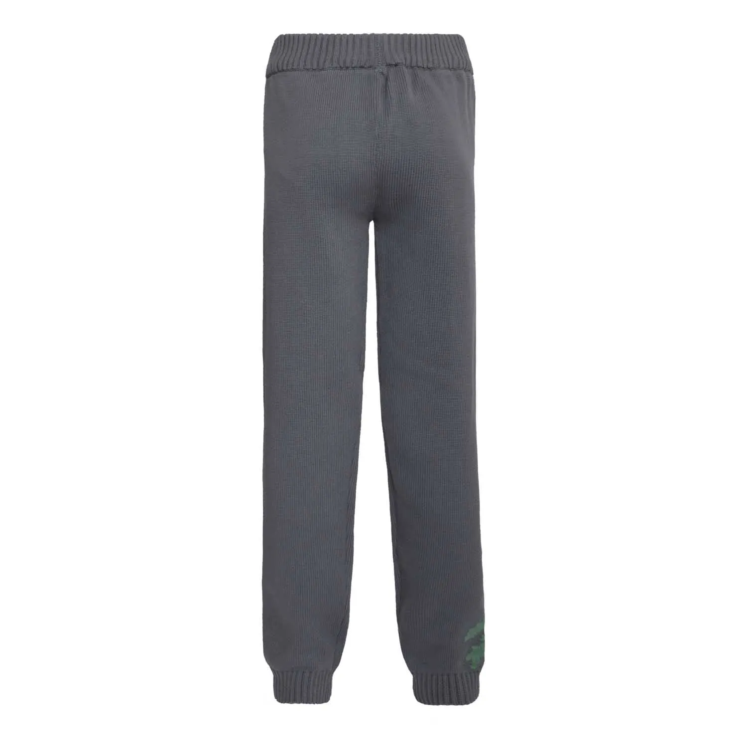 Grijze jongens kerstlegging