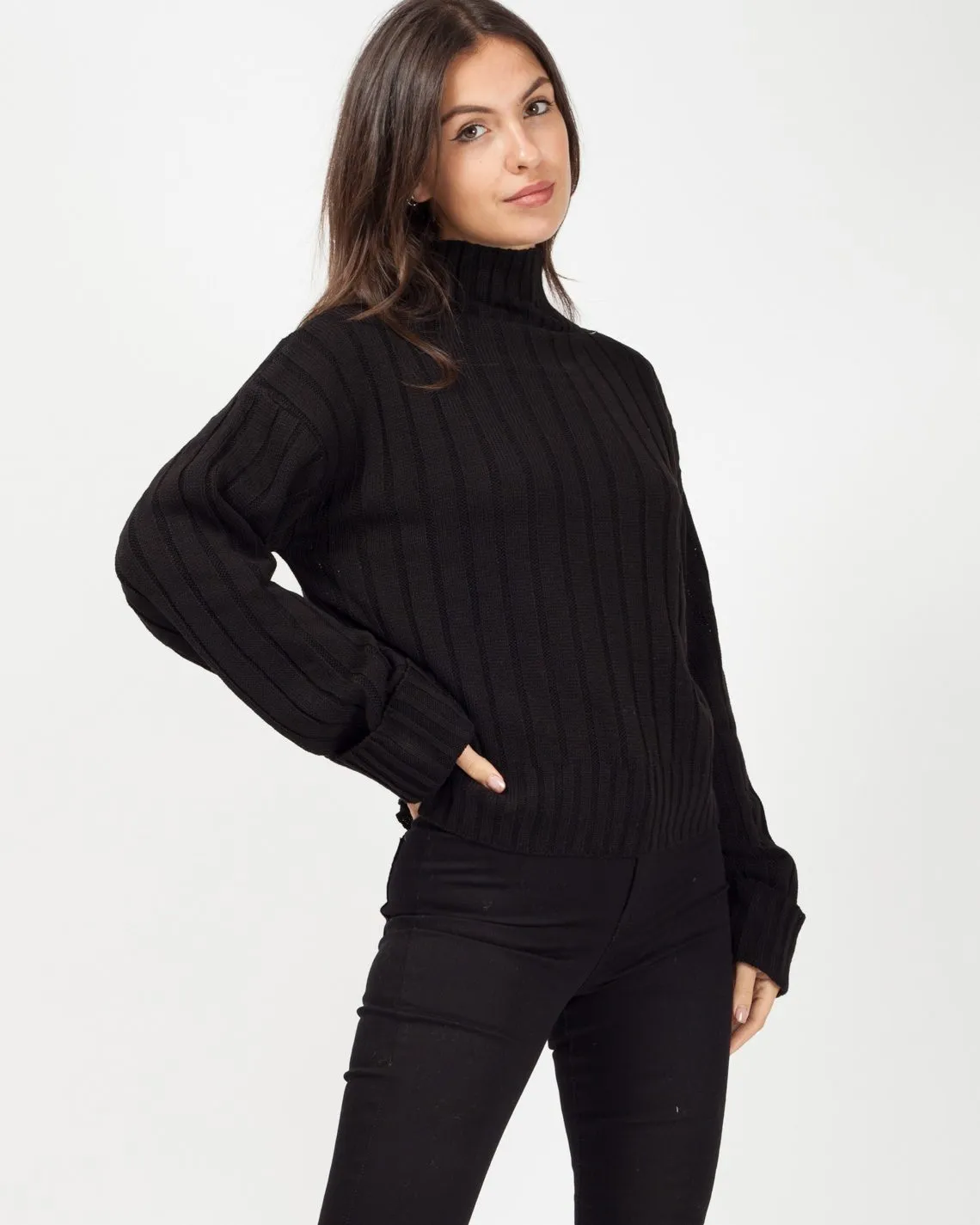 Karlie Turtle Neck Knitted Jumper In Black