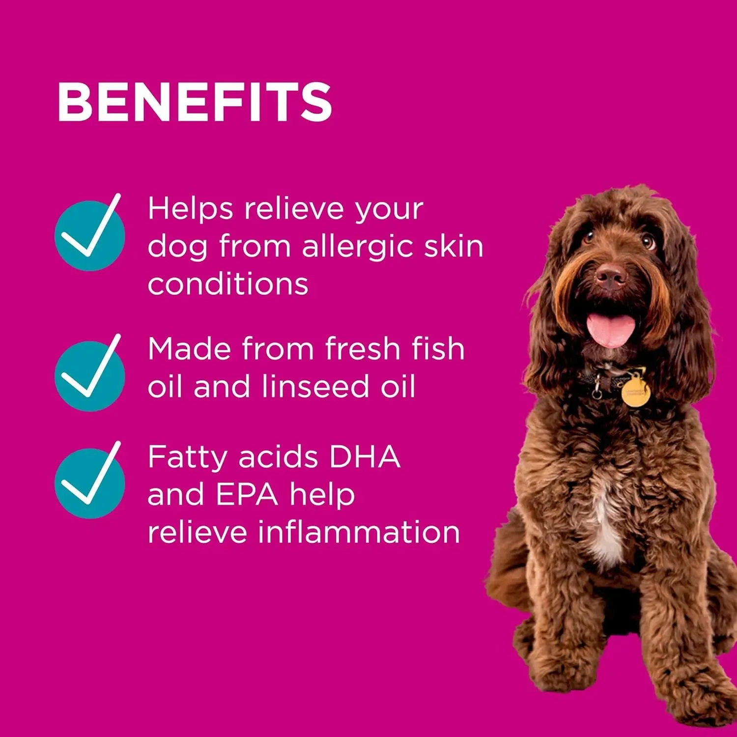 PAW - Dermega (Skin & Coat Supplement for Dogs) 200ml